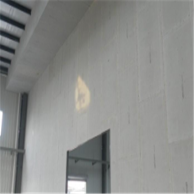 大埔宁波ALC板|EPS加气板隔墙与混凝土整浇联接的实验研讨